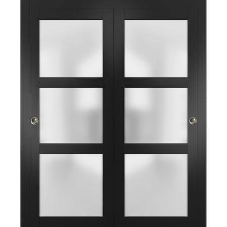 Sartodoors Closet Bypass Interior Door, 60" x 96", Black LUCIA2552DBD-BLK-6096